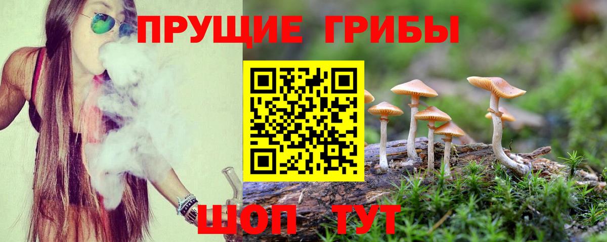 Амурск  Галлюциногенные грибы GOLDEN TEACHER  Вход с VPN 
