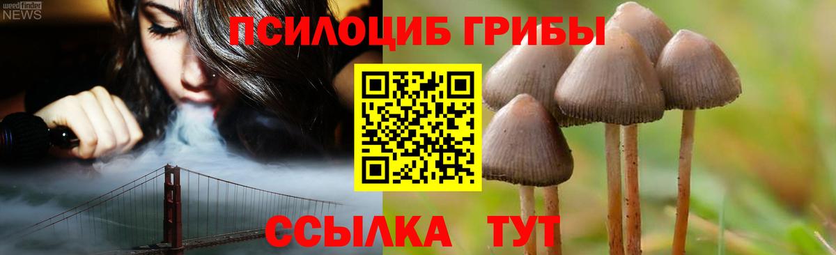Псилоцибиновые грибы ЛСД Амурск
