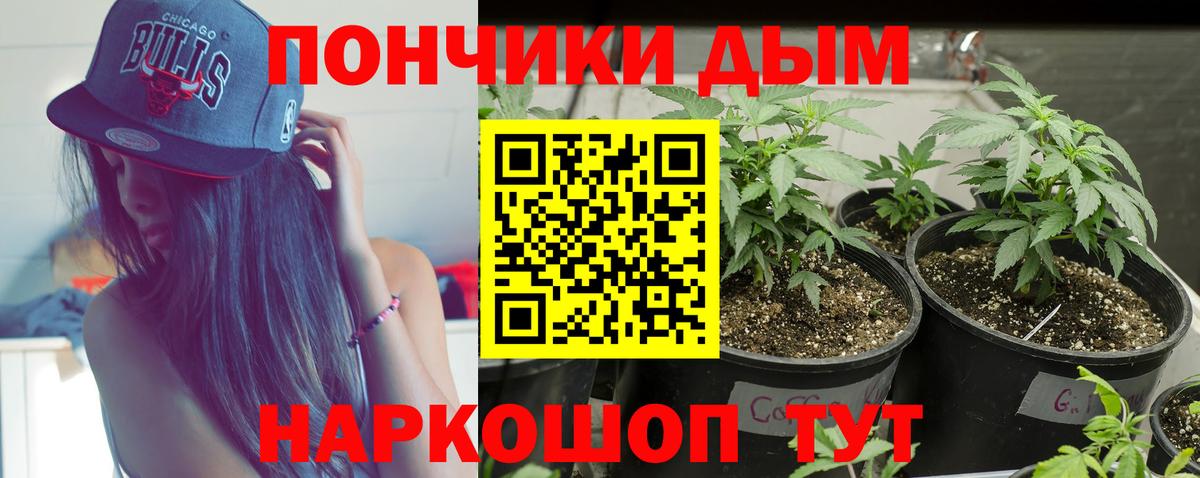 Каннабис Bruce Banner Амурск